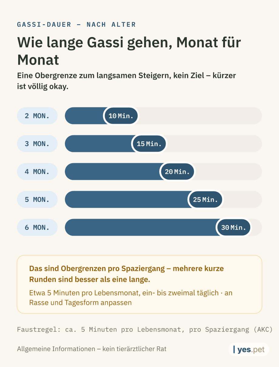 Infografik: ungefähre Dauer pro Spaziergang nach Alter (Faustregel: 5 Minuten pro Lebensmonat) – 2 Monate: 10 Minuten, 3 Monate: 15 Minuten, 4 Monate: 20 Minuten, 5 Monate: 25 Minuten, 6 Monate: 30 Minuten. Eine Obergrenze, kein Ziel – kürzer ist völlig okay.
