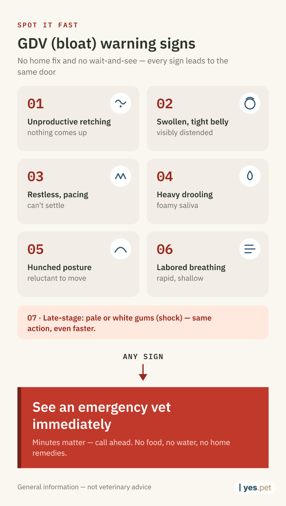 Infographic: six GDV (bloat) warning signs in dogs — unproductive retching, swollen tight belly, restlessness, heavy drooling, hunched posture, labored breathing; late-stage pale gums (shock). Any sign: see an emergency vet immediately.