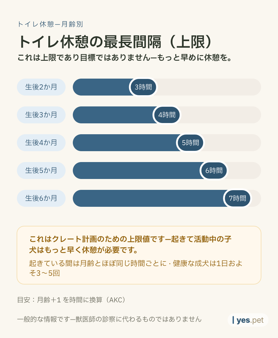 インフォグラフィック：月齢別のトイレ休憩の最長間隔—生後2か月：3時間、3か月：4時間、4か月：5時間、5か月：6時間、6か月：7時間。上限であり目標ではありません—もっと早めに休憩を。