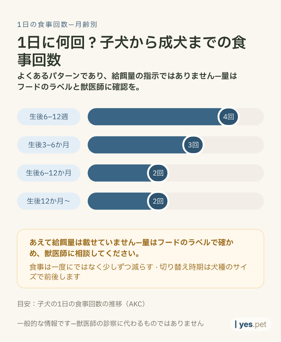 インフォグラフィック：月齢別・1日の食事回数の目安—生後6〜12週：4回、3〜6か月：3回、6〜12か月：2回、12か月以降：2回。よくあるパターンであり給餌量の指示ではありません—量はフードのラベルと獣医師に確認してください。