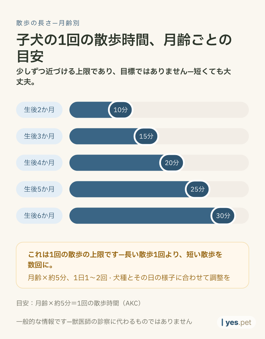 インフォグラフィック:月齢別・1回の散歩時間の目安(月齢×5分ルール)—生後2か月:10分、3か月:15分、4か月:20分、5か月:25分、6か月:30分。上限であり目標ではありません—短くても大丈夫です。